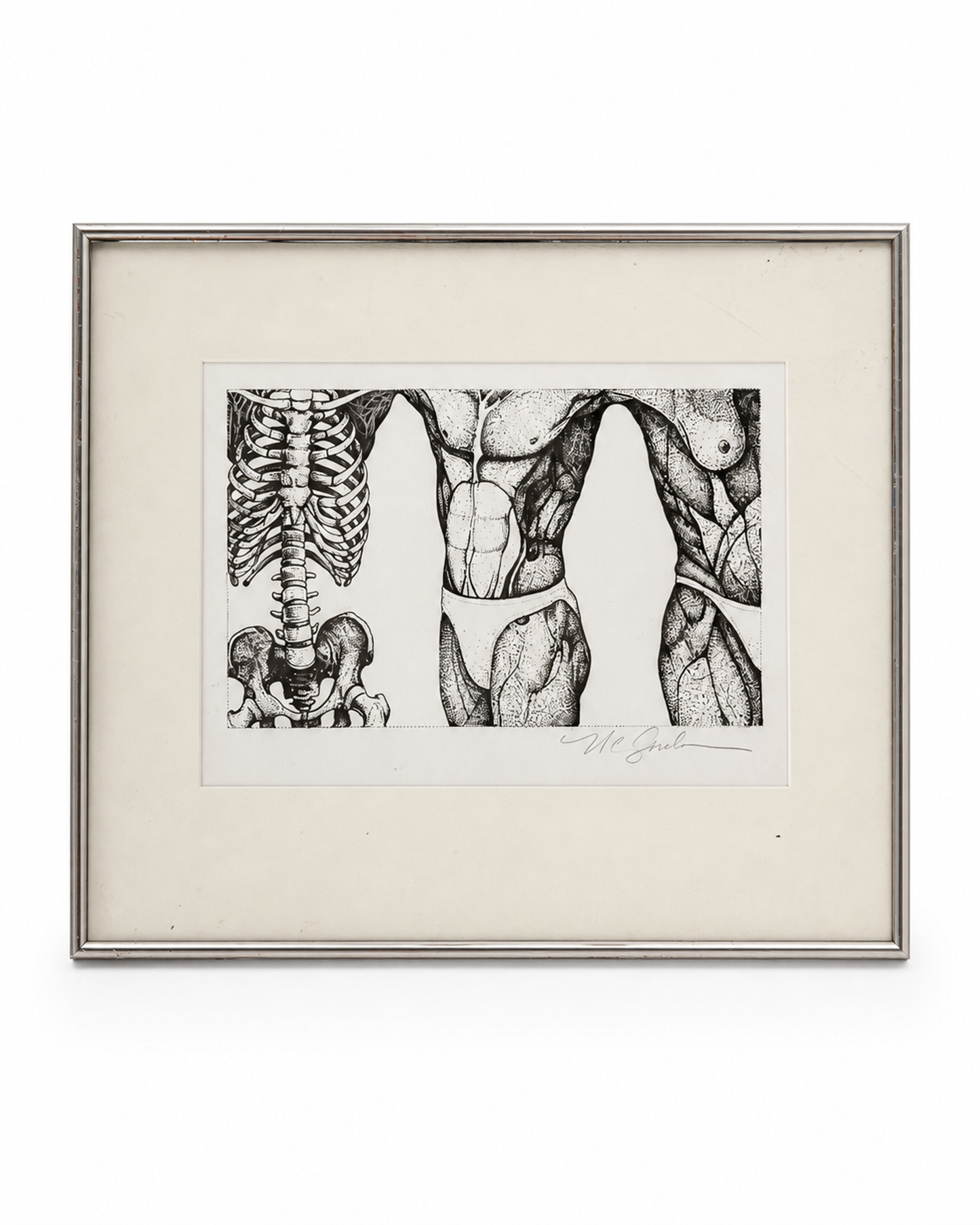 Front inspection view of a signed anatomical figure study in a cream mat and silver tone frame