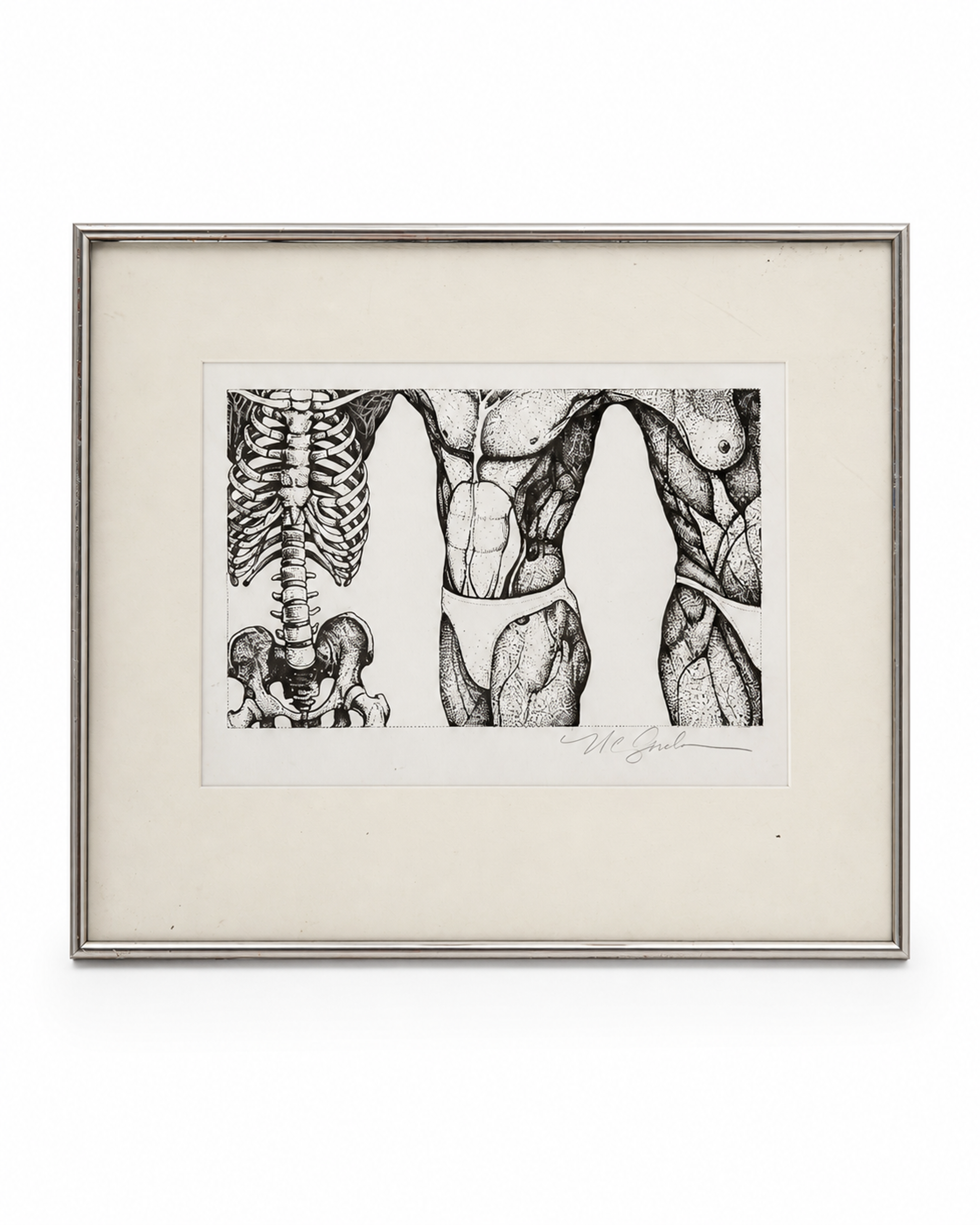 Front inspection view of a signed anatomical figure study in a cream mat and silver tone frame